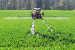 04-20 - muss wohl sein